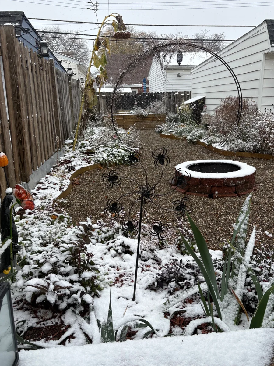 Garden beds and a gravel path covered in fresh snow